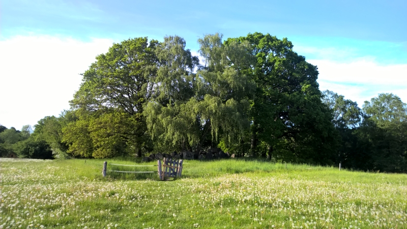 Torsdag, 26. 
                     maj 2016. Kongedyssen.