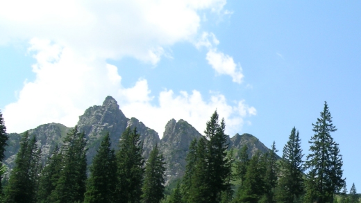 Schillerkopf